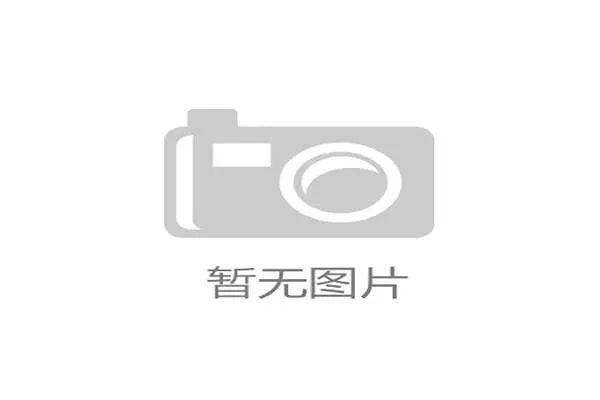 德里公立学校手球课程正式纳入国际文凭教育体系推动体育教育多元化发展